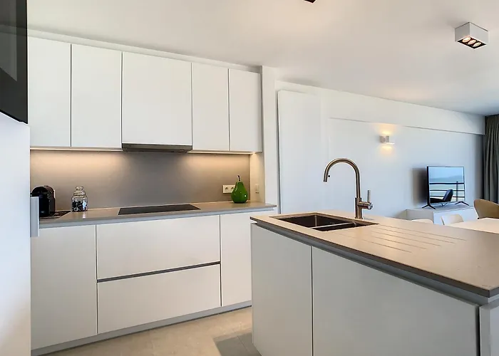 'beloved De Panne' With Seaview Apartment